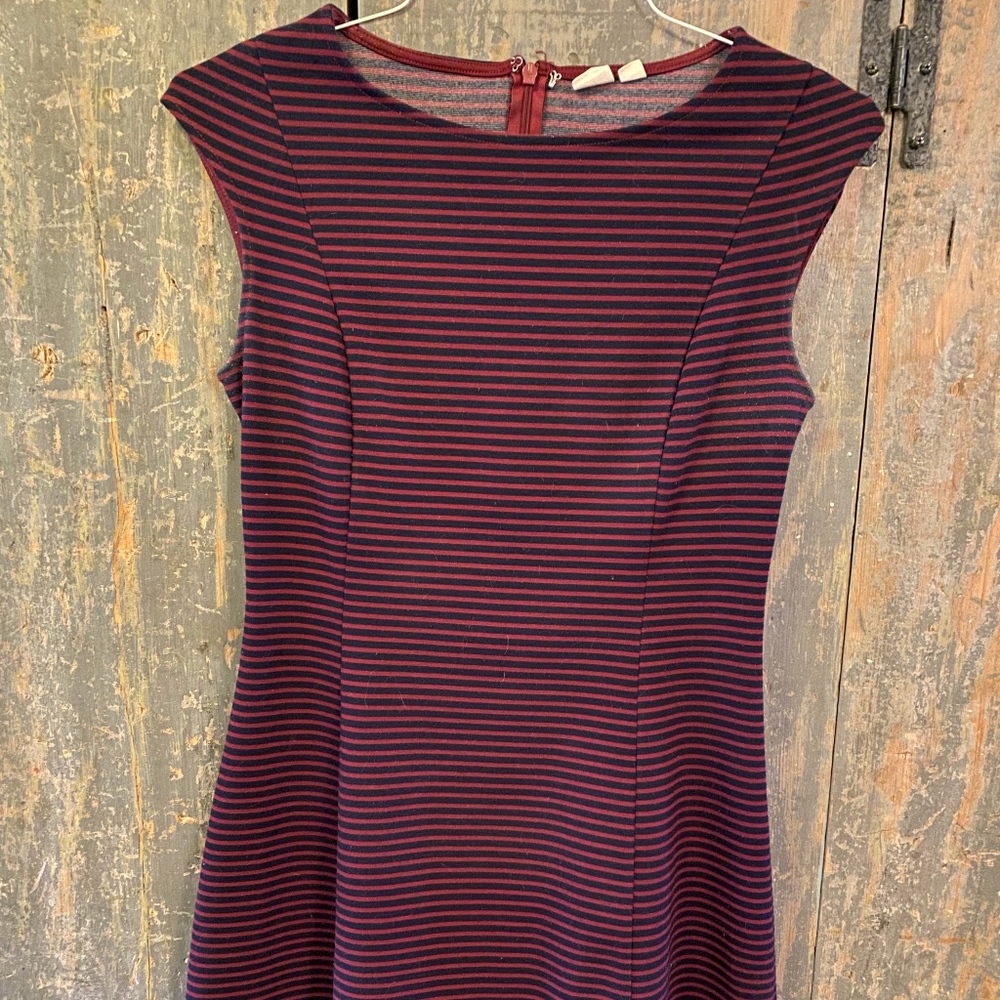 Gap Dress